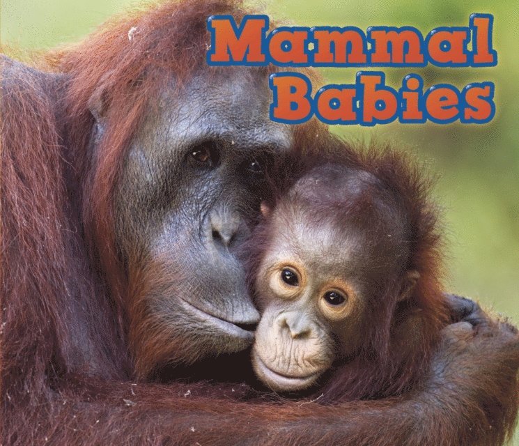 Catherine Veitch - Mammal Babies, E-bok