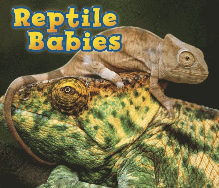 Catherine Veitch - Reptile Babies, E-bok