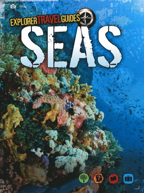 Nick Hunter - Seas, E-bok