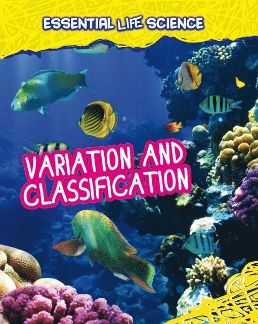 Melanie Waldron - Variation and Classification, E-bok