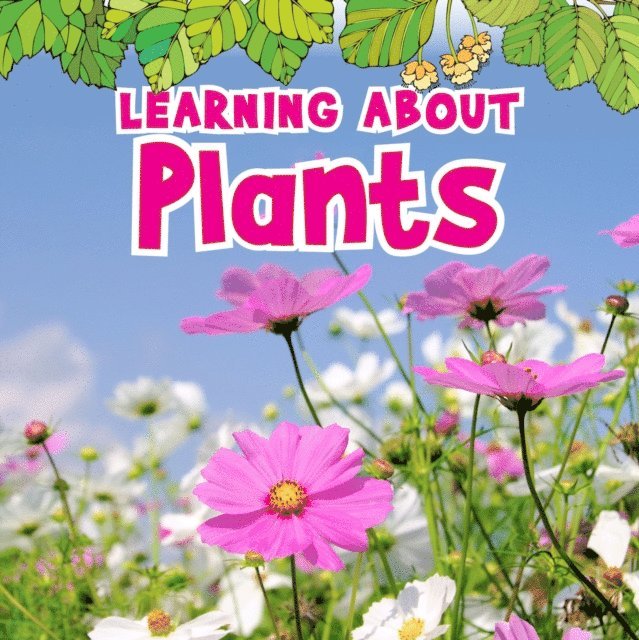 Catherine Veitch - Learning About Plants, E-bok