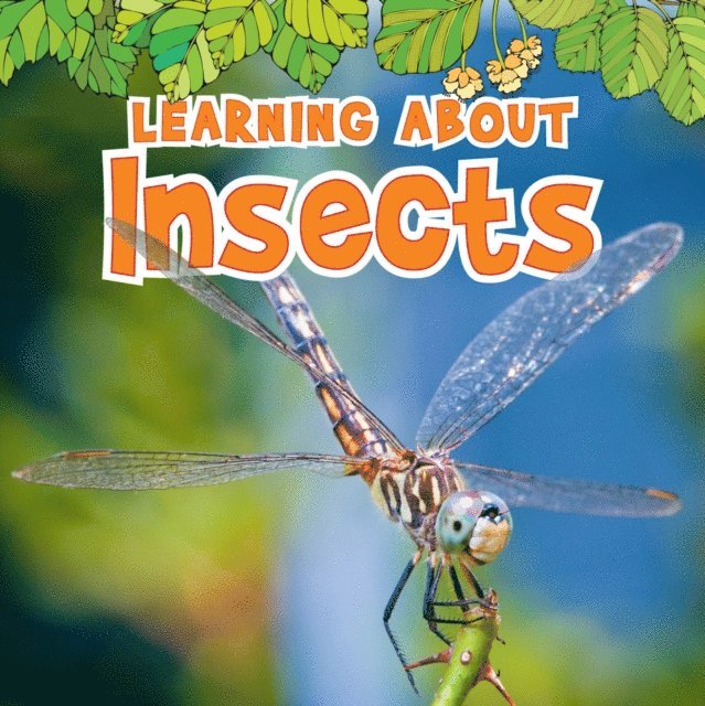 Catherine Veitch - Learning About Insects, E-bok