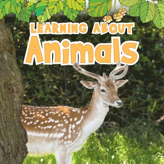 Catherine Veitch - Learning About Animals, E-bok