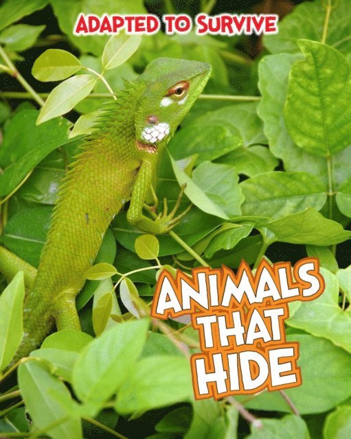 Angela Royston - Adapted to Survive: Animals that Hide, E-bok