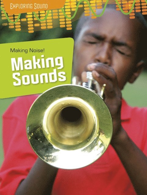 Richard Spilsbury, Louise Spilsbury - Making Noise!: Making Sounds, E-bok
