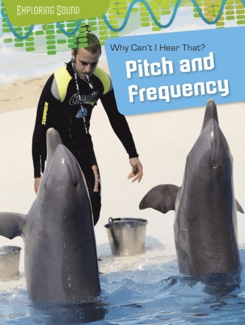 Richard Spilsbury, Louise Spilsbury - Why Can't I Hear That?: Pitch and Frequency, E-bok. Tillgänglighet: Lägg i varukorg