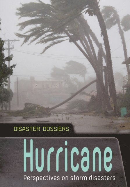 Andrew Langley - Hurricane, E-bok