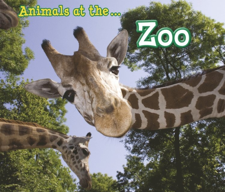 Sian Smith - Animals at the Zoo, E-bok
