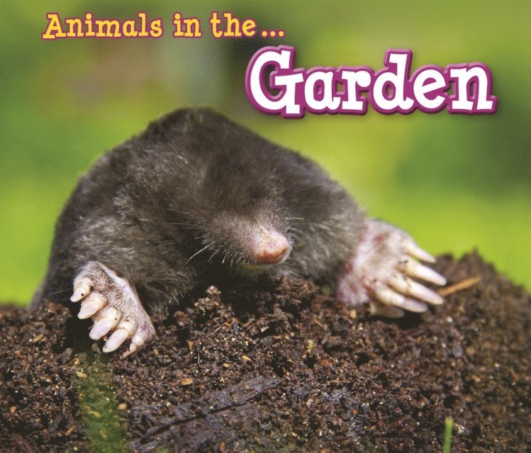 Sian Smith - Animals in the Garden, E-bok