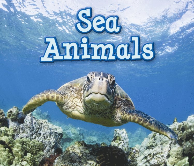 Sian Smith - Sea Animals, E-bok