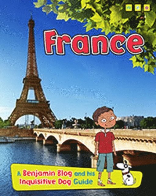 Anita Ganeri - France, E-bok