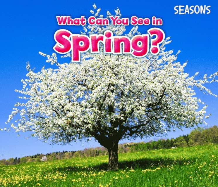 Sian Smith - What Can You See In Spring?, E-bok