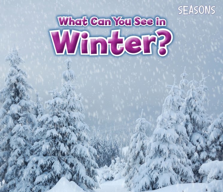 What Can You See In Winter?