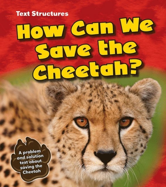 Phillip W. Simpson - How Can We Save the Cheetah?, E-bok