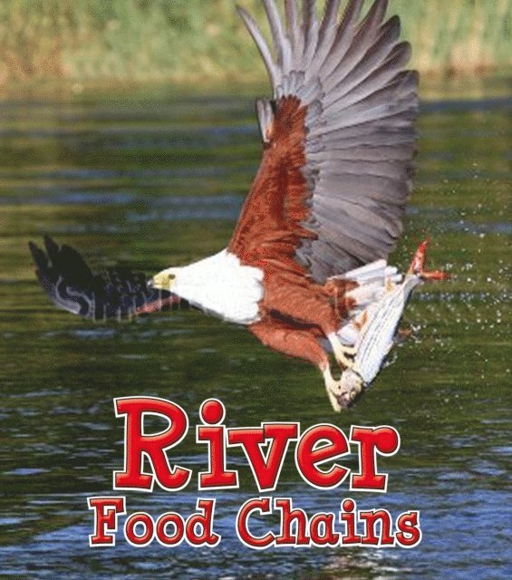 Angela Royston - River Food Chains, E-bok