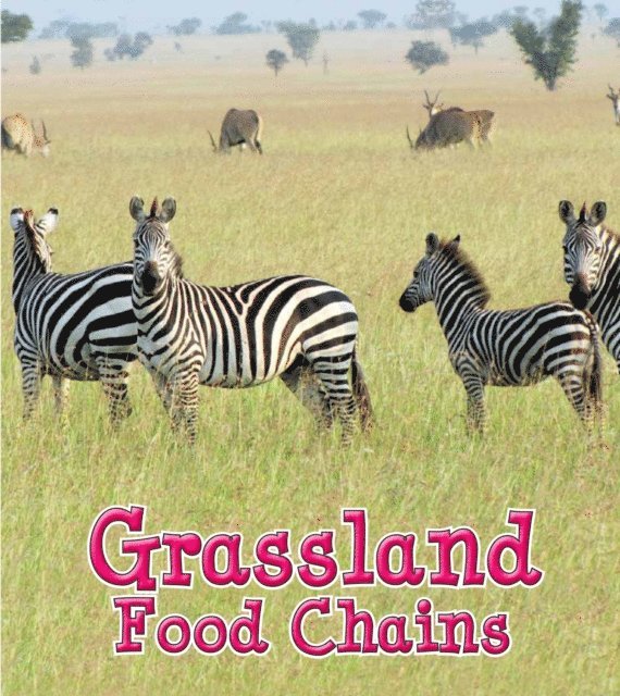 Angela Royston - Grassland Food Chains, E-bok