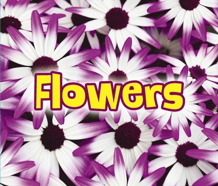 Claire Throp - All About Flowers, E-bok