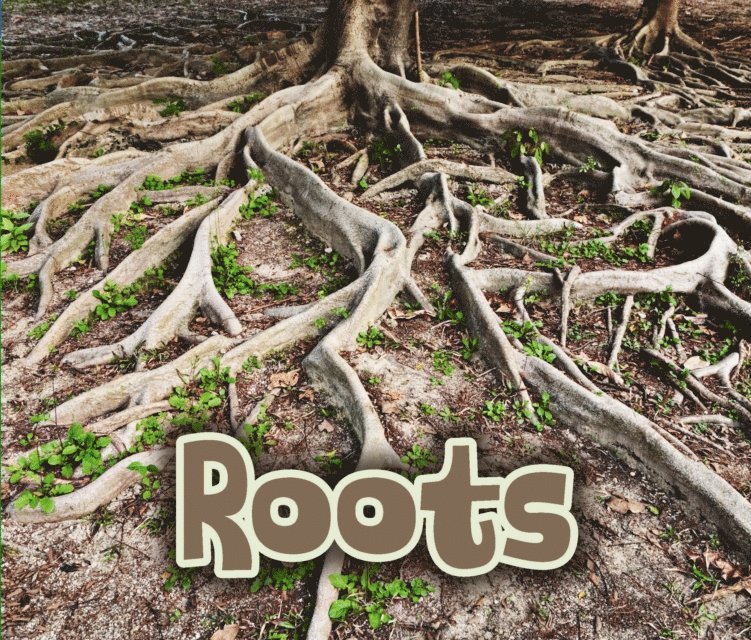 Claire Throp - All About Roots, E-bok