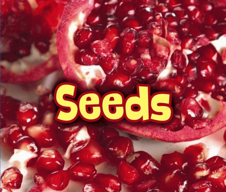 Claire Throp - All About Seeds, E-bok