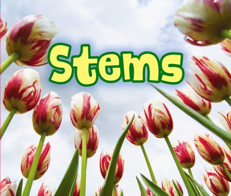 Claire Throp - All About Stems, E-bok