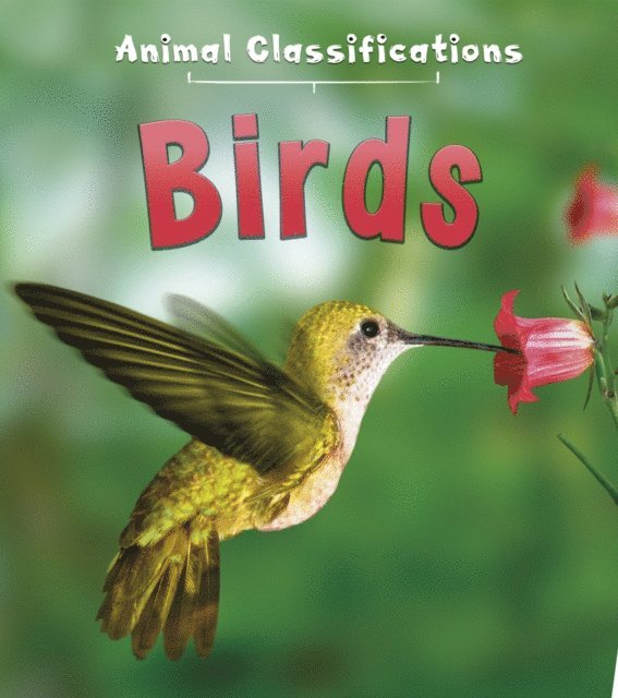 Angela Royston - Birds, E-bok