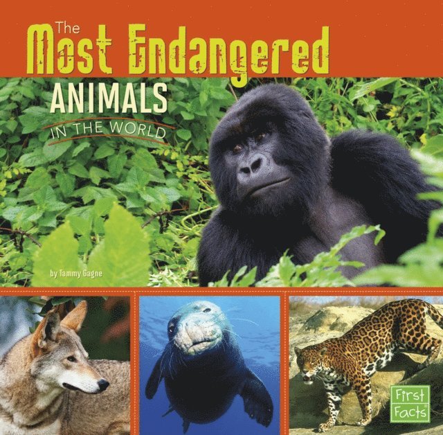 Tammy Gagne - Most Endangered Animals in the World, E-bok