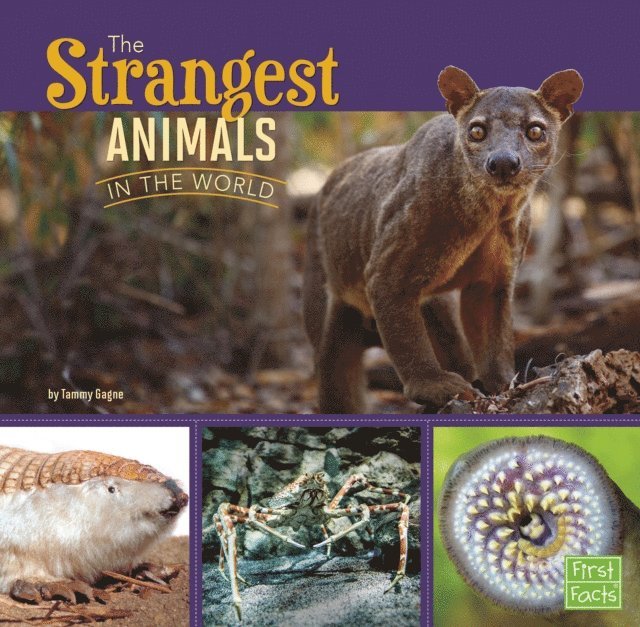 Tammy Gagne - Strangest Animals in the World, E-bok