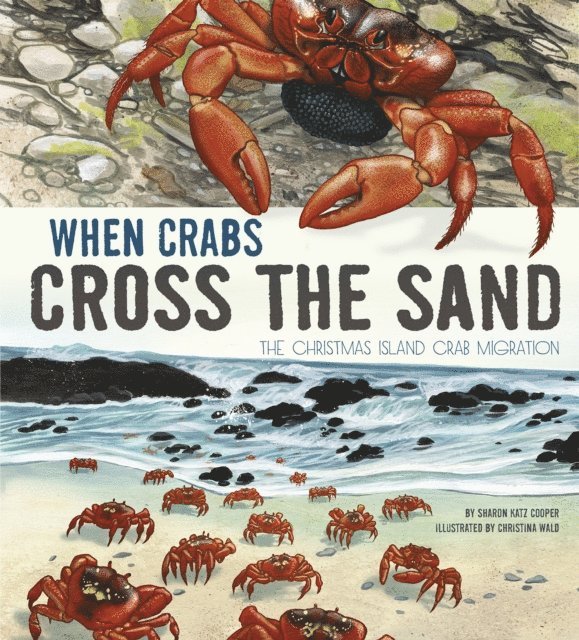 Sharon Katz Cooper - When Crabs Cross the Sand, E-bok