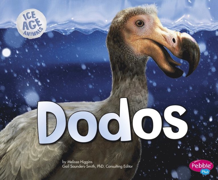 Melissa Higgins - Dodos, E-bok