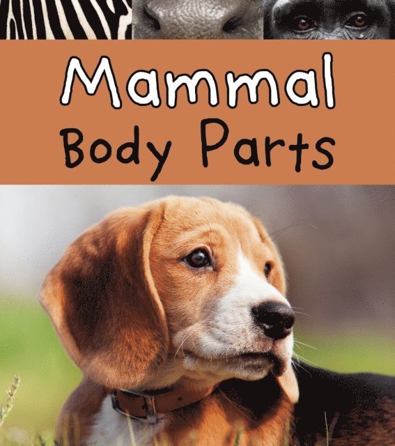 Clare Lewis - Mammal Body Parts, E-bok