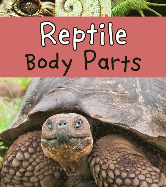 Clare Lewis - Reptile Body Parts, E-bok