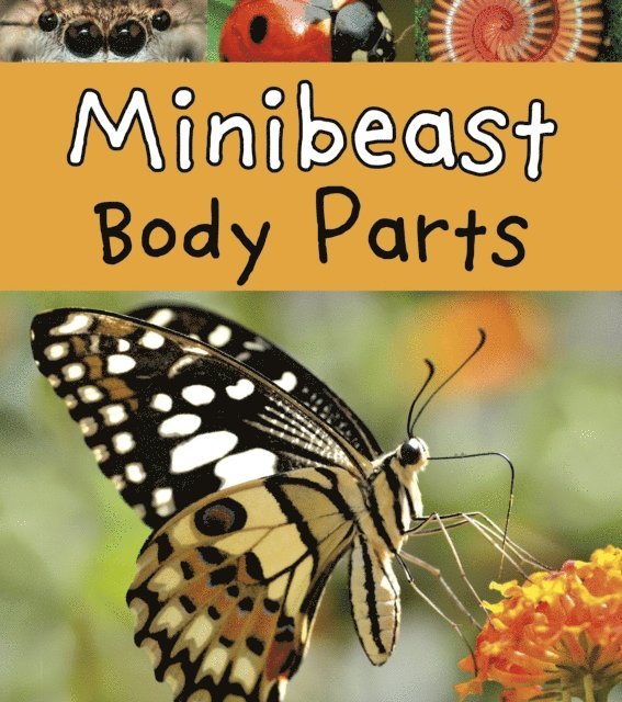 Clare Lewis - Minibeast Body Parts, E-bok