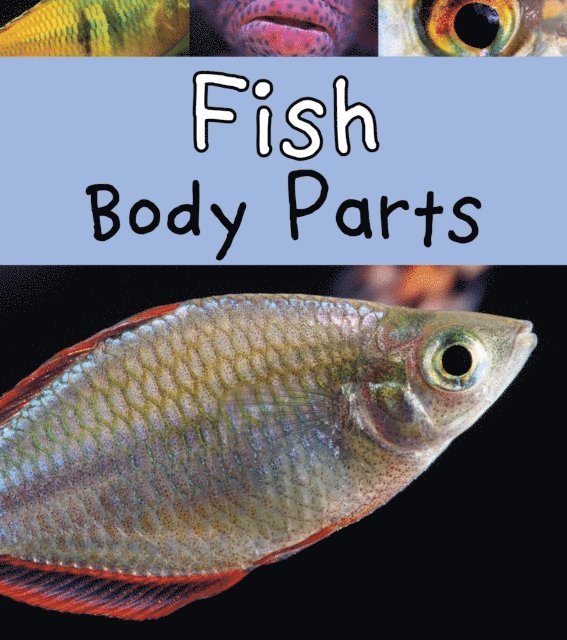 Clare Lewis - Fish Body Parts, E-bok