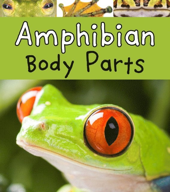Clare Lewis - Amphibian Body Parts, E-bok