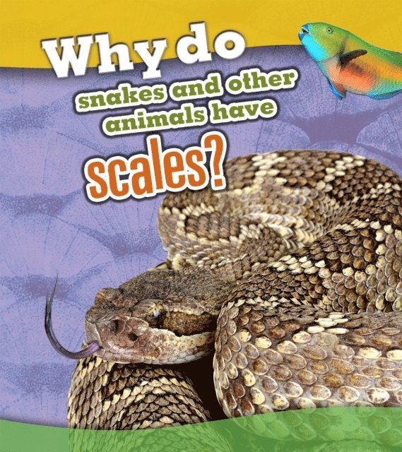 Clare Lewis - Why Do Snakes and Other Animals Have Scales?, E-bok