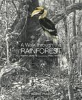 Walk Through the Rainforest