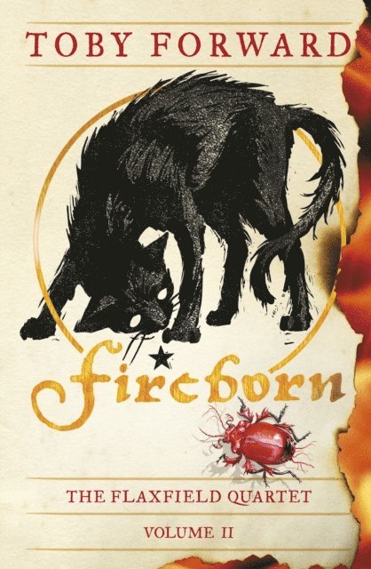 Toby Forward - Fireborn, E-bok