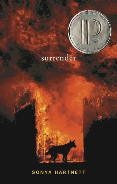 Sonya Hartnett - Surrender, E-bok