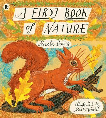 First Book of Nature av Nicola Davies