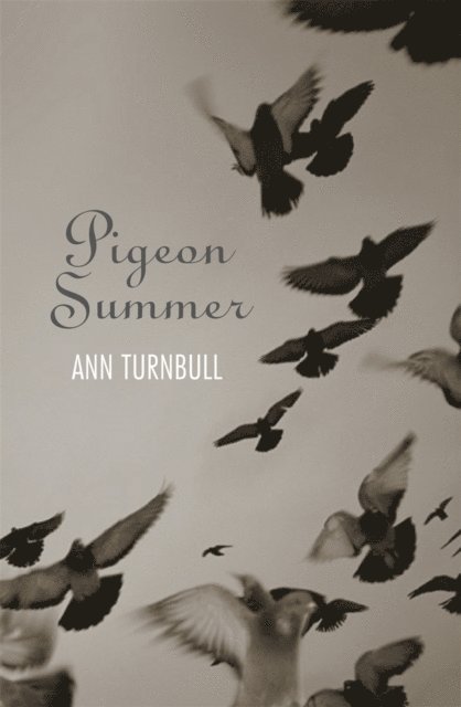 Ann Turnbull - Pigeon Summer, E-bok