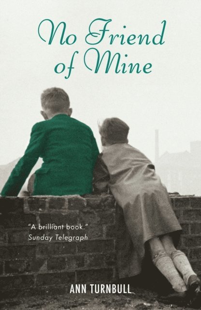 Ann Turnbull - No Friend of Mine, E-bok