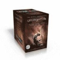 Cassandra Clare - Mortal Instruments, Övrigt