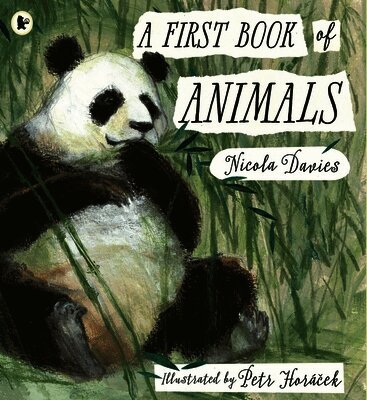 Nicola Davies - First Book of Animals, Häftad