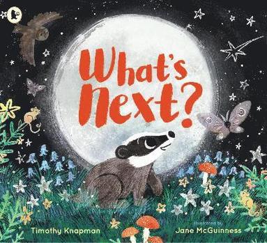 What's Next? by Timothy Knapman