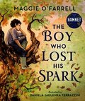 Boy Who Lost His Spark