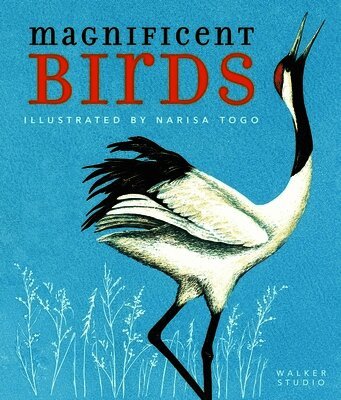 Narisa Togo - Magnificent Birds, Häftad