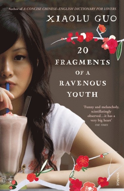 Xiaolu Guo - 20 Fragments of a Ravenous Youth, E-bok
