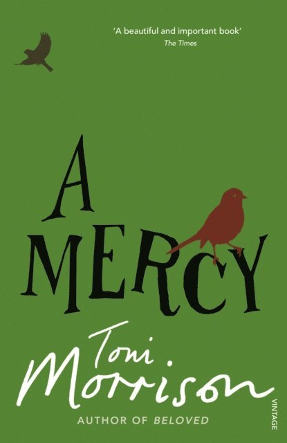 Toni Morrison - Mercy, E-bok