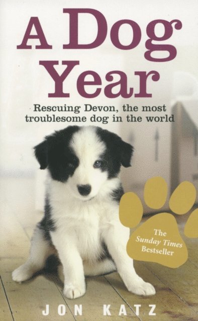 Jon Katz - Dog Year, E-bok