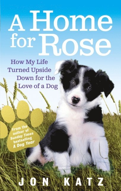 Jon Katz - Home for Rose, E-bok